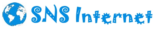 SNS Internet (Nottingham) Logo